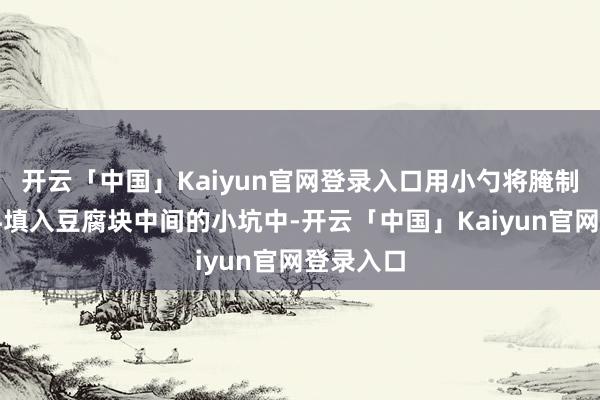 开云「中国」Kaiyun官网登录入口用小勺将腌制好的馅料填入豆腐块中间的小坑中-开云「中国」Kaiyun官网登录入口