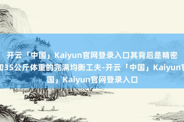 开云「中国」Kaiyun官网登录入口其背后是精密的算法按捺和35公斤体重的完满均衡工夫-开云「中国」Kaiyun官网登录入口